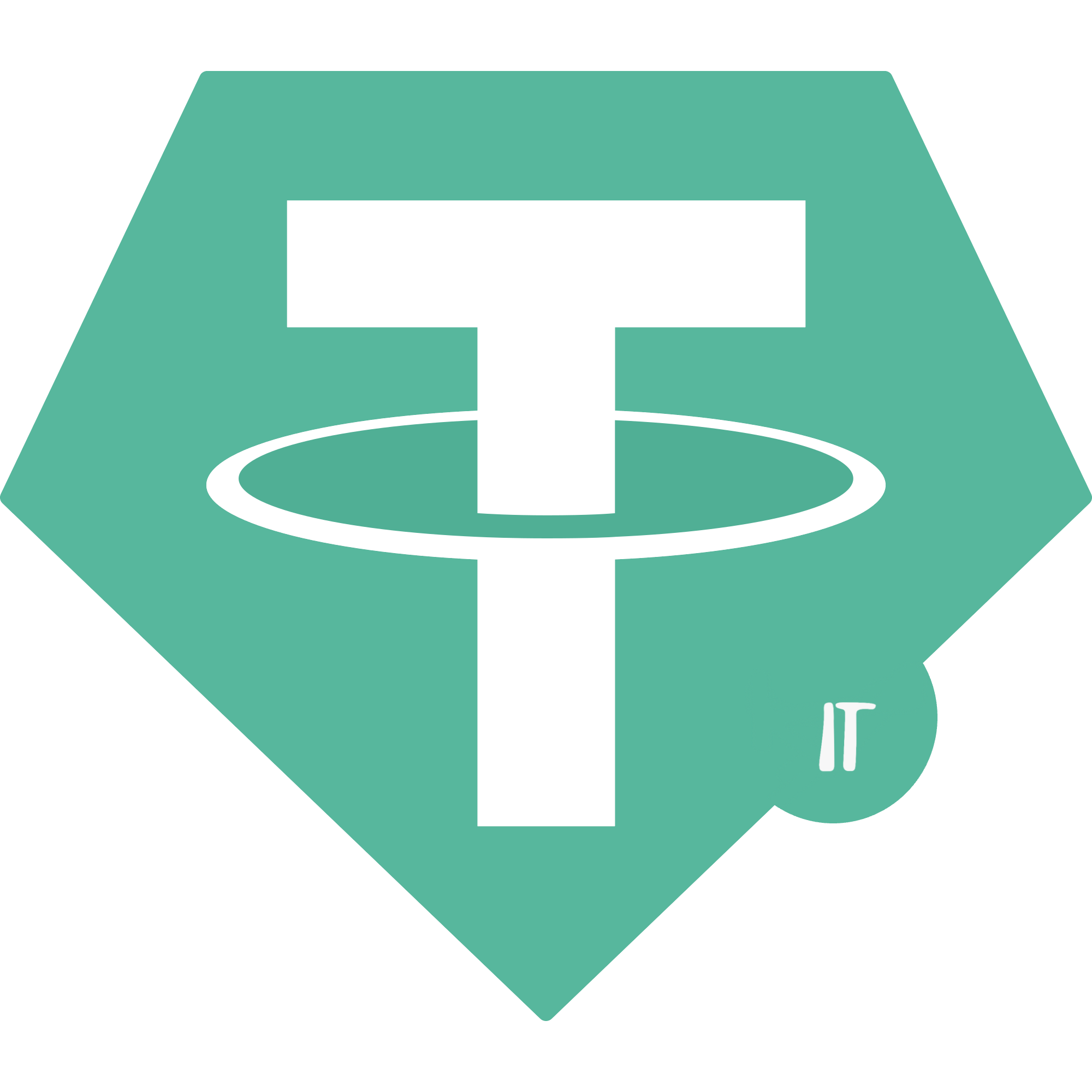 USIDT Logo